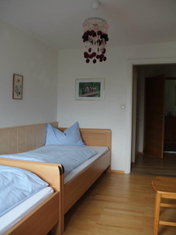 Ferienwohnung Laserer Gosau Εξωτερικό φωτογραφία