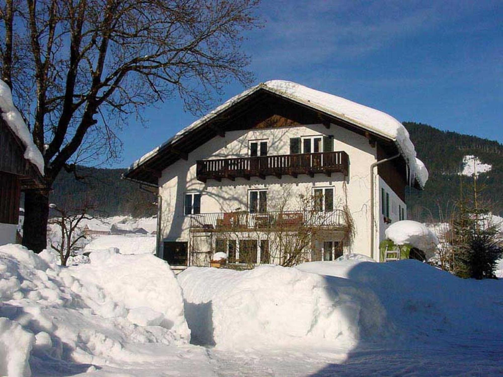 Ferienwohnung Laserer Gosau Εξωτερικό φωτογραφία
